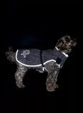 Pelle P Commodus Dog Coat – Gefütterter, wasserabweisender Hundemantel