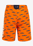 Swim Bermuda